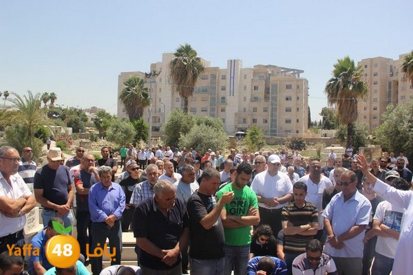 jaanzaa 0501 (38).JPG